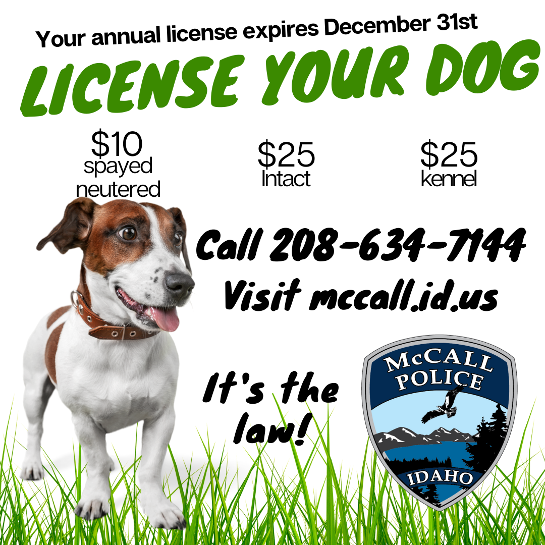 pa dog license duplicate